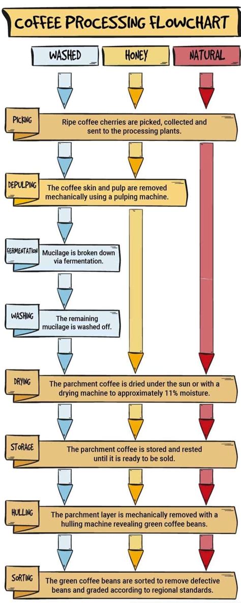 honey processed coffee – kafeido roasters