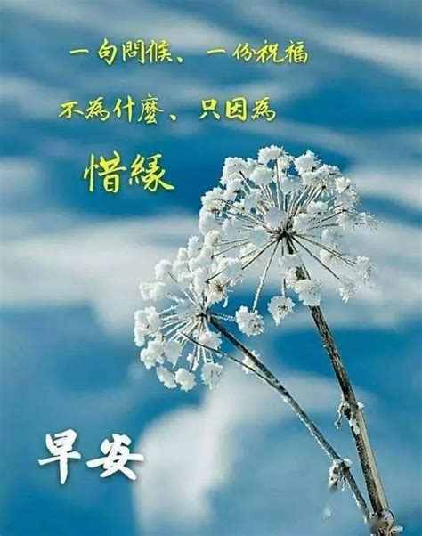 简短问候语100句,给朋友发问候的句子,一天一个问候语_大山谷图库