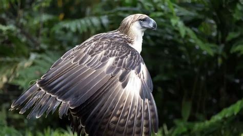 What is the Capital of Armenia?