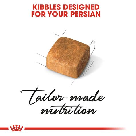 Persian Kitten | Royal Canin IN