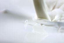 Kieler Rohstoffwert Milch – aktuelle News und Informationen ...
