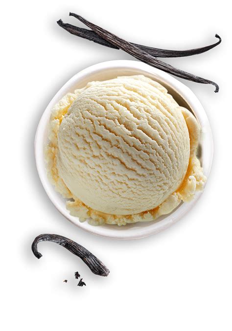 Your Taste - Your Own Ice Cream Sundae | Ibaco