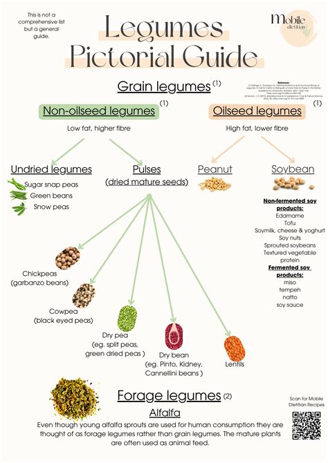 Beans versus Legumes: Unveiling the Key Differences - Mobile Dietitian