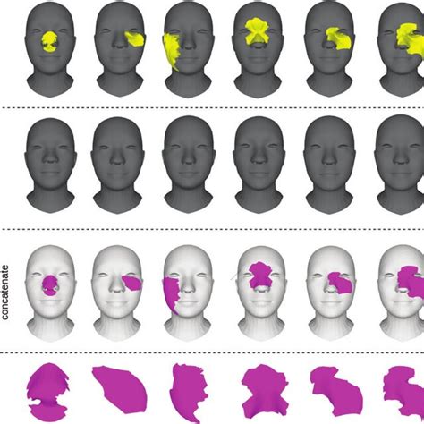Image result for Multiple Extraction