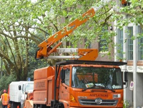 Tree Service FS19 的图像结果