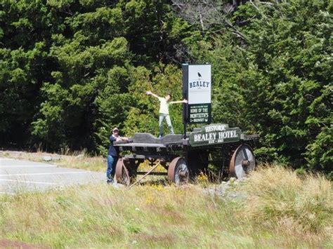 Welcome stop in the mountains - Reviews, Photos - The Crafty Moa Eatery ...