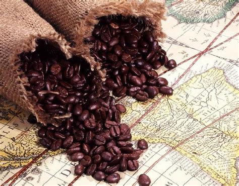 咖啡豆和可可豆的区别 -保山小粒咖啡