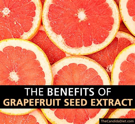 The Top 4 Benefits Of Grapefruit Seed Extract » The Candida Diet