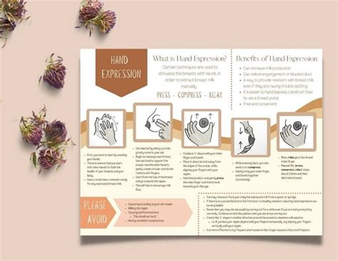 Hand Expression Colostrum 的图像结果