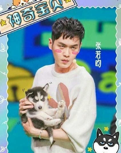 何炅对张若昀哈士奇的执念有多深张若昀哈士奇的梗怎么来的