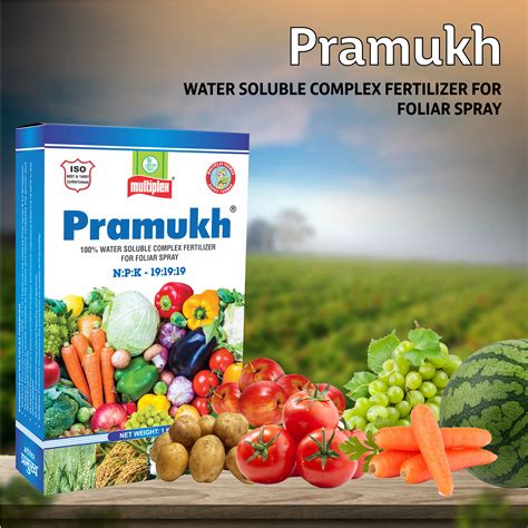 Multiplex Pramukh (19:19:19) Fertilizer – Agriplex