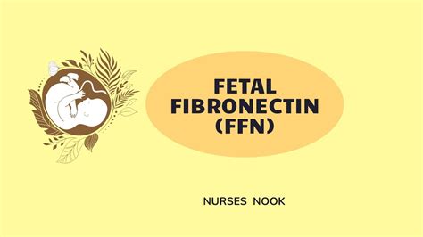 Image result for Fibronectin Medication