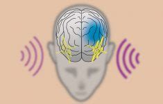 Image result for Stimulus Control Transfer ABA Example