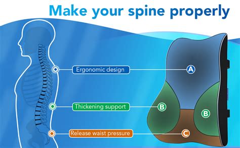 kossto Orthopedic Back Brace Memory Foam Lumbar Support Backrest for ...