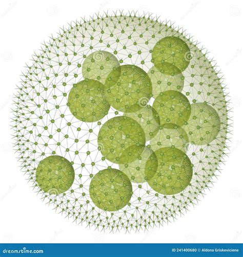 Volvox Aureus - Wimperkugel - Green Alga Stock Illustration - Illustration of life, pattern ...