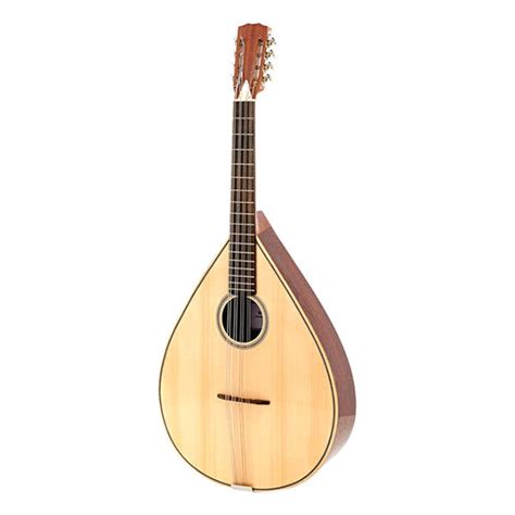 Buy Mandolin Instrument Online in India at Best Prices | Bajaao