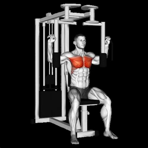 Cable Decline Fly: Guide, Muscles Worked, Tips | Athlemove