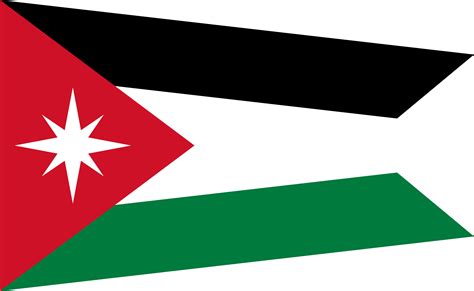 Flag Of Palestine With A Star R/vexillology, 56% OFF