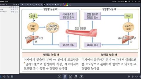 Image result for Python Programming and Machine Learning Understanding How to Code within 24 Hours