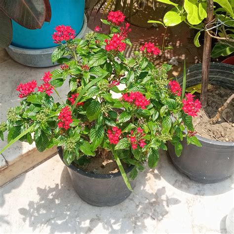 DIGHA TOURIST LODGE (West Bengal) - Lodge Reviews & Photos - Tripadvisor