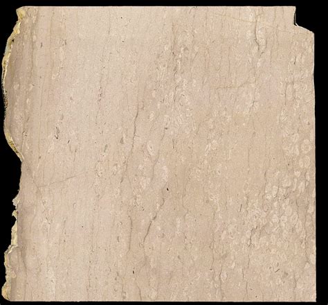 Buy perlato royal marble | Beige color marble for floor & wall | Nitco