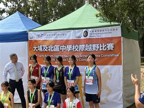 Implementation Strategy Example 的图像结果
