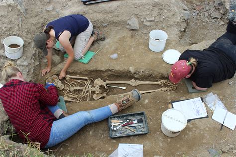 Blackfriary Archaeology Field School | Archaeology Field School in Ireland