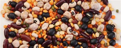 夏季豆子们熟了，养生饮食来一把_谷传玲营养师_新浪博客