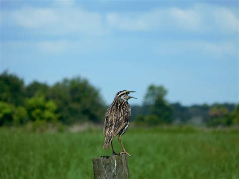 Home | Hardee County Property Appraiser