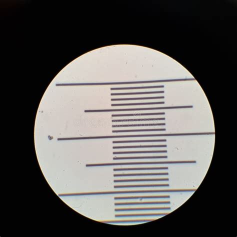 Image result for Microscope Calibration Procedure