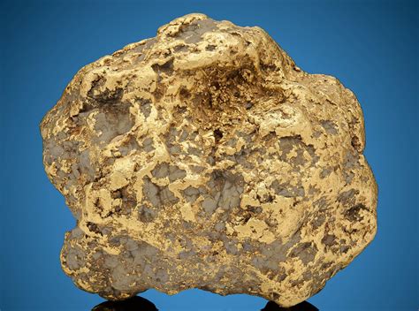 Largest Gold Nugget Ever Found in Alaska – BC Gold Adventures