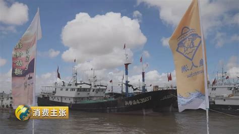 海蜇捕捞季开启 舟山市154艘渔船持专项捕捞特许证出海