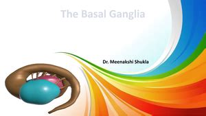 Limbic System The Center of Emotions - Limbic System: The Center of ...