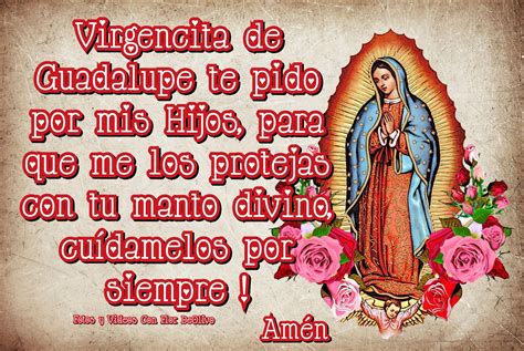 Virgencita de Guadalupe. Oración por los Hijos ! | Virgen de guadalupe ...