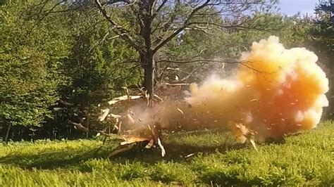 Image result for Exploding Tree Prank