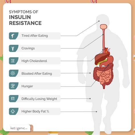Symptoms of Insulin Resistance - Keto Science