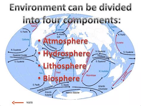 Basic Components of the Environment 的图像结果