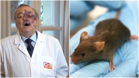 Spanish scientists cure pancreatic cancer in mice - raising hopes for a breakthrough in humans ...