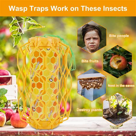 Paper Wasp Trap Rescue TSW Visilure TrapStik For Wasps 3 TRAPS