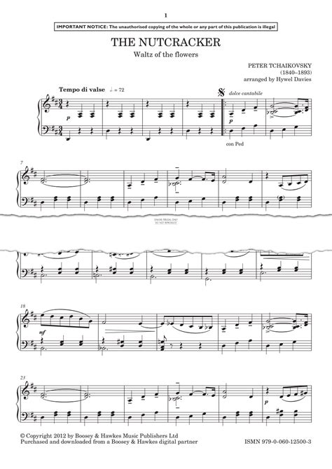 The Nutcracker (Waltz of the Flowers) (Pyotr Ilyich Tchaikovsky ...