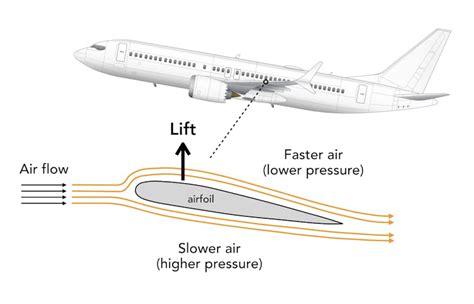 Image result for How Does Flight Work