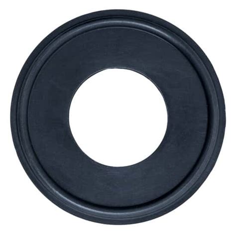 Cole-Parmer® Sanitary Gaskets, Black FKM from Cole-Parmer India