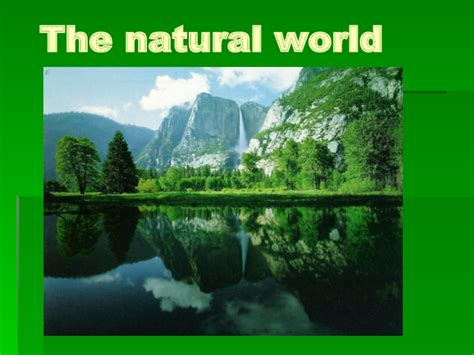 Natural World 的图像结果