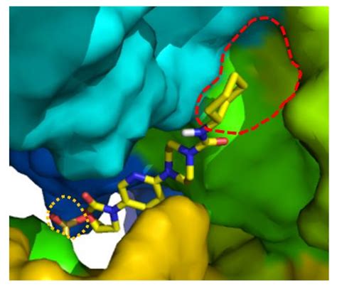 Synthesis, Antibacterial and Anthelmintic Activity of Novel 3-(3 ...