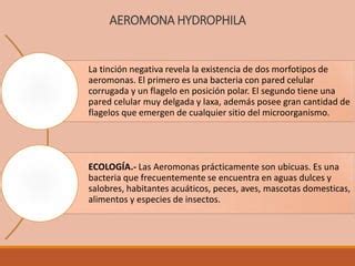 Image result for Example Email for Computing Lesson Year 3