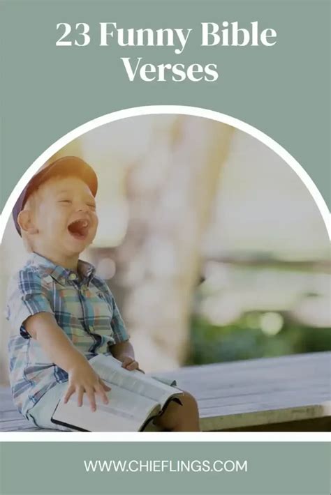 Rezultat imagine pentru Funny Scriptures