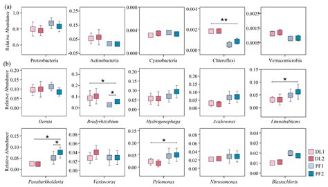 How Dryland-to-Paddy Conversion Affects the Carbon Emission Efficiency ...