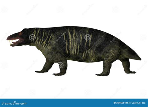 Permian Period Jonkeria Animal Side View Stock Illustration ...
