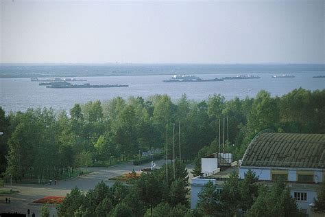 amur 的图像结果