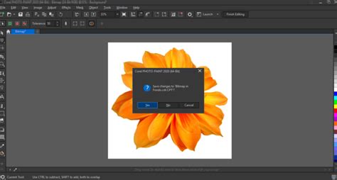 Image result for Background Remove in CD-R